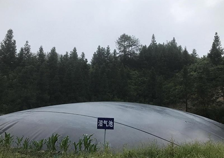 1678091383564819.jpg sw3.jpg