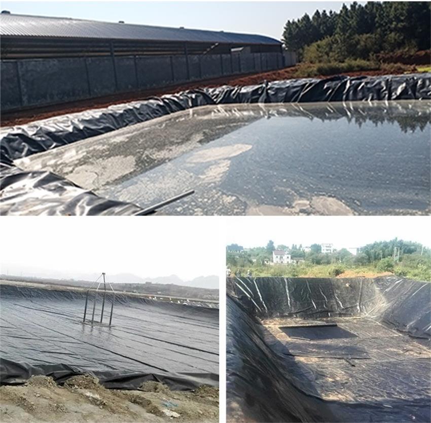 1678091399116345.jpg 1677136808123464.jpg